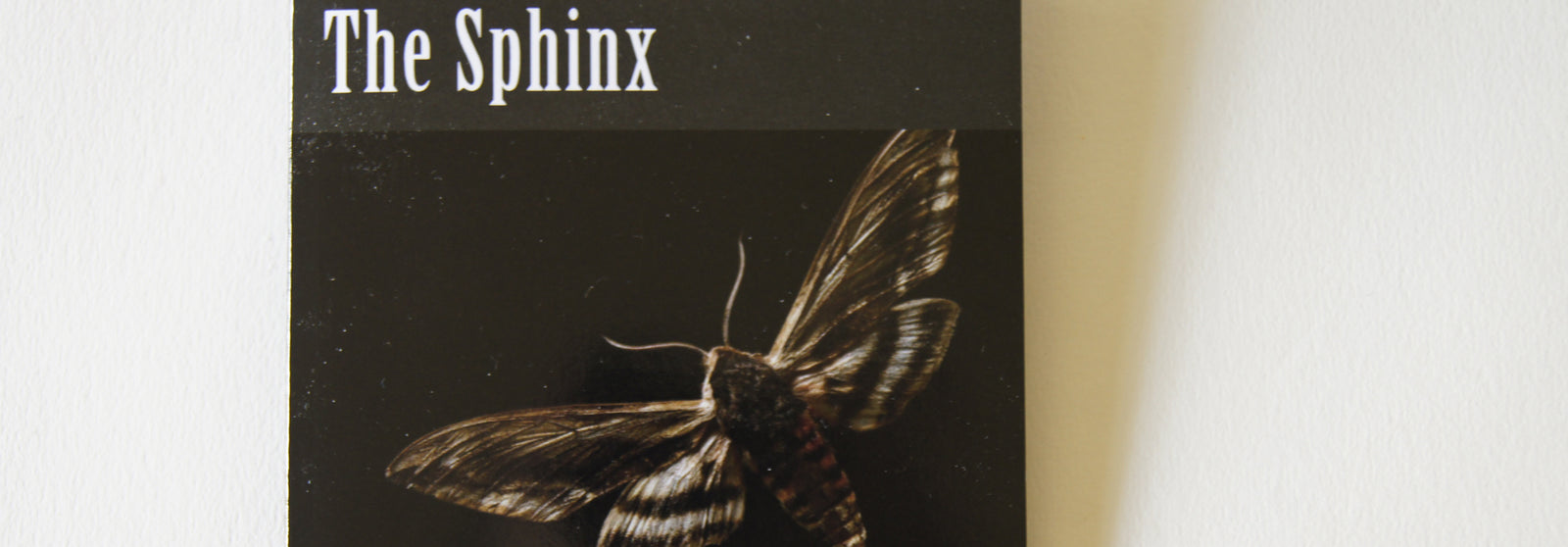 The Sphinx by Edgar Allen Poe