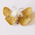 Brooch Buff Ermine Tiger Moth Entomology