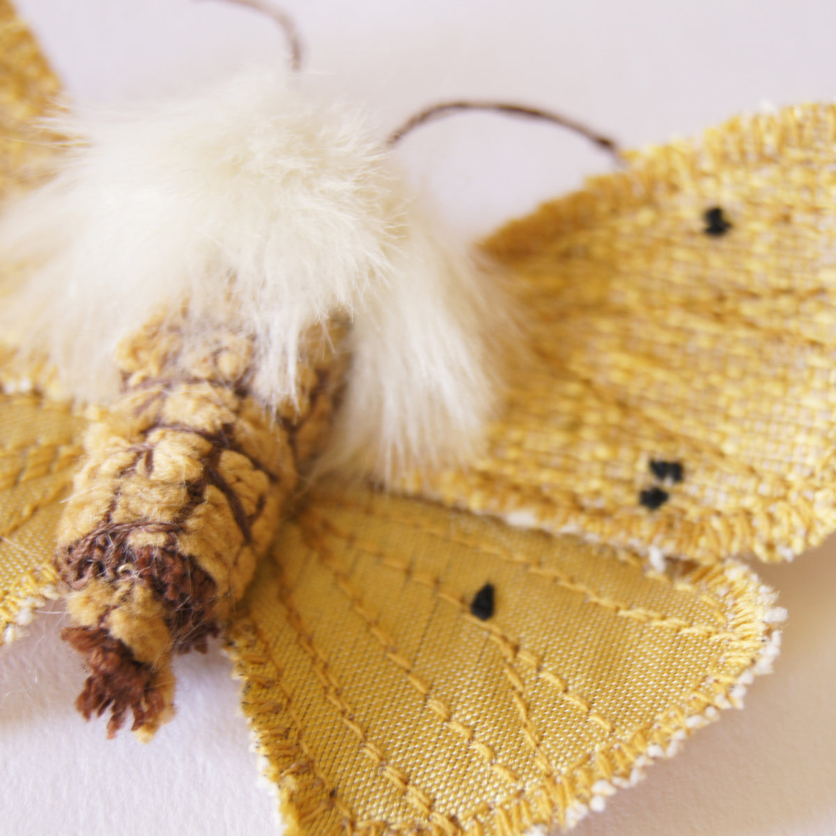 Brooch Buff Ermine Tiger Moth Entomology