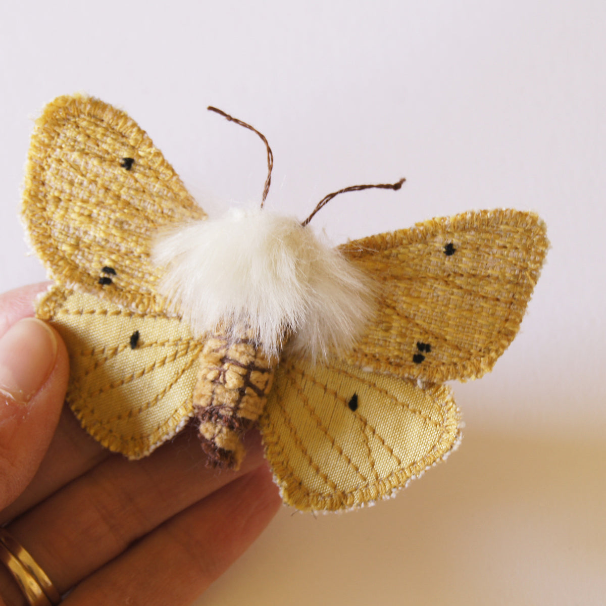 Brooch Buff Ermine Tiger Moth Entomology