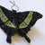 Emerald Swallowtail textile brooch entomology jewelry