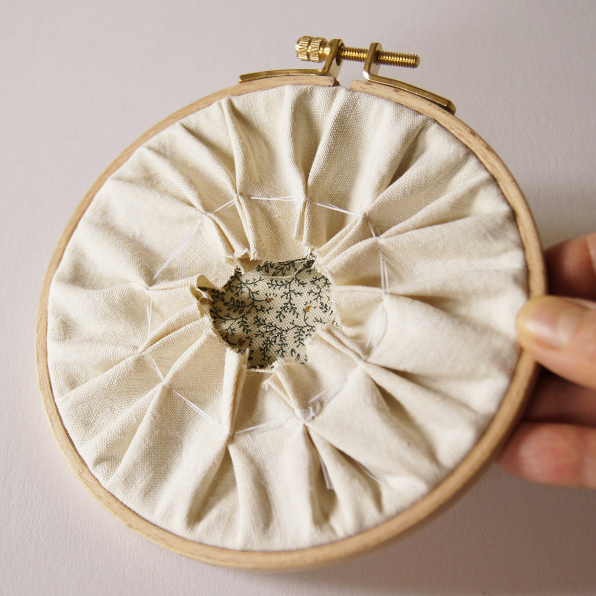 Hoop Embroidery Tarantula Hawk Wasp