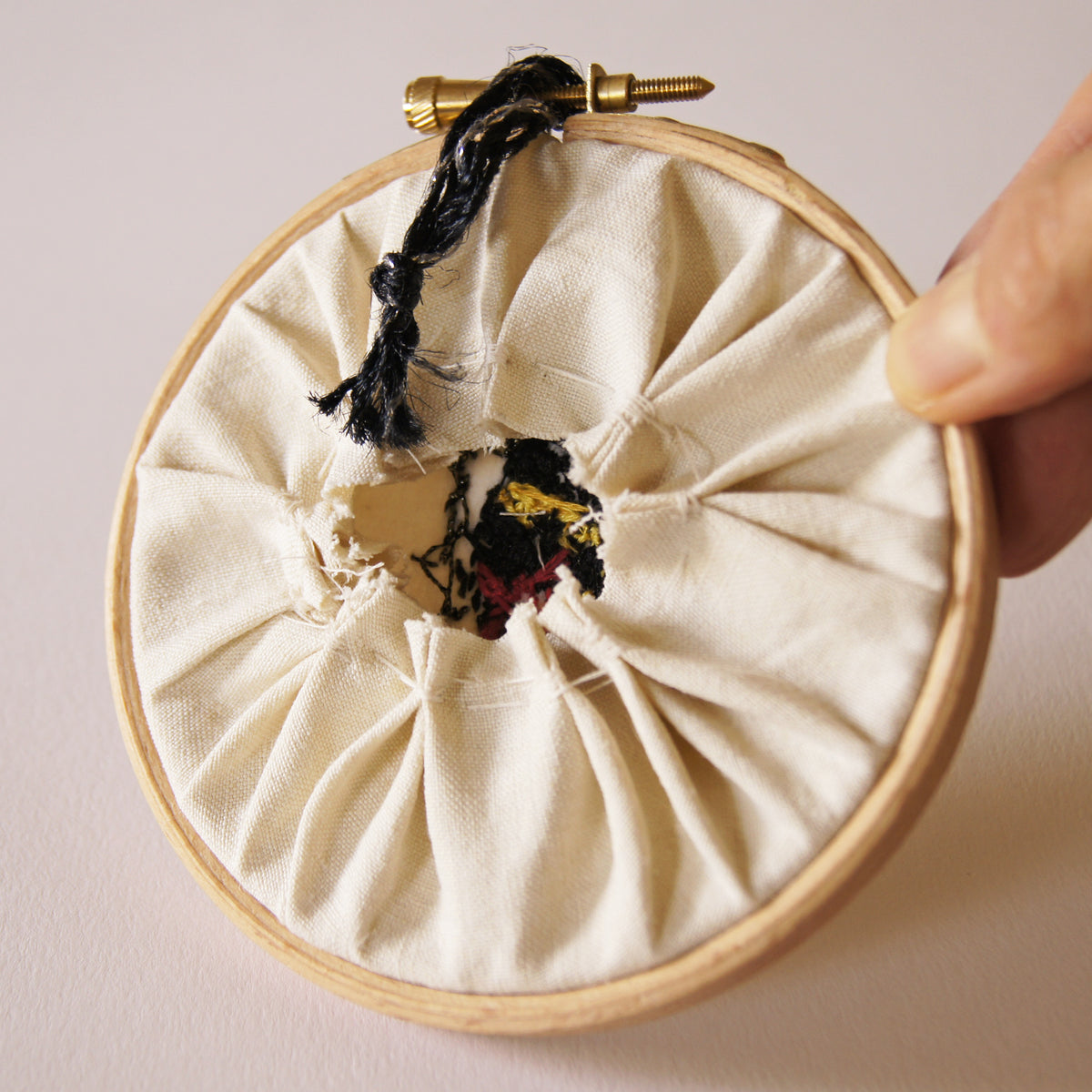 Pleasing Fungus Beetle Embroidered Hoop Art