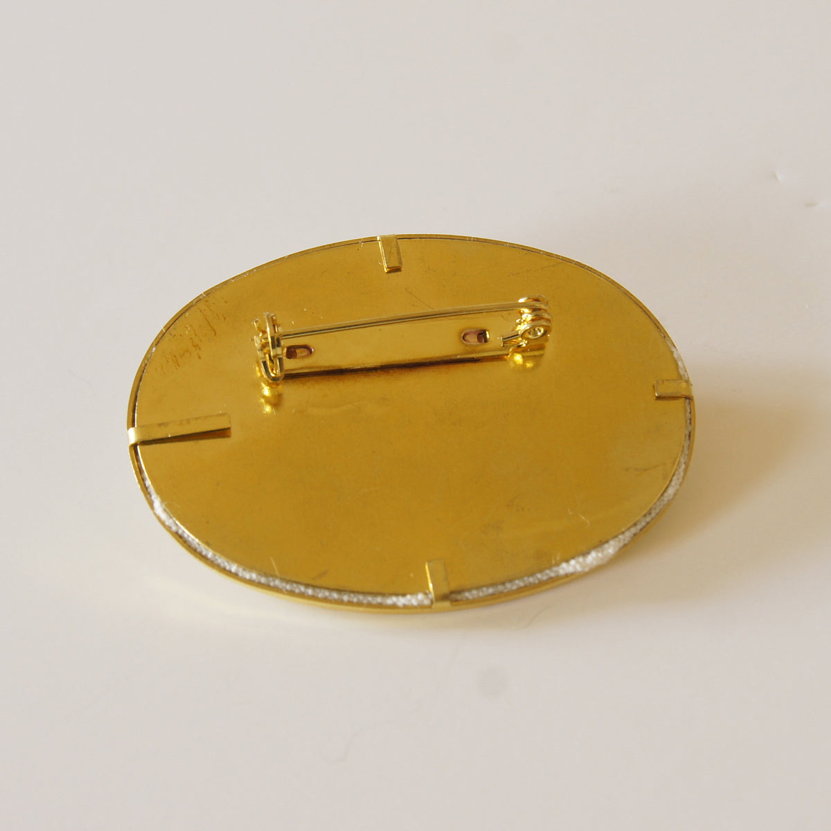 Net Winged Beetle Brooch Hand Embroidery Entomology Jewelry