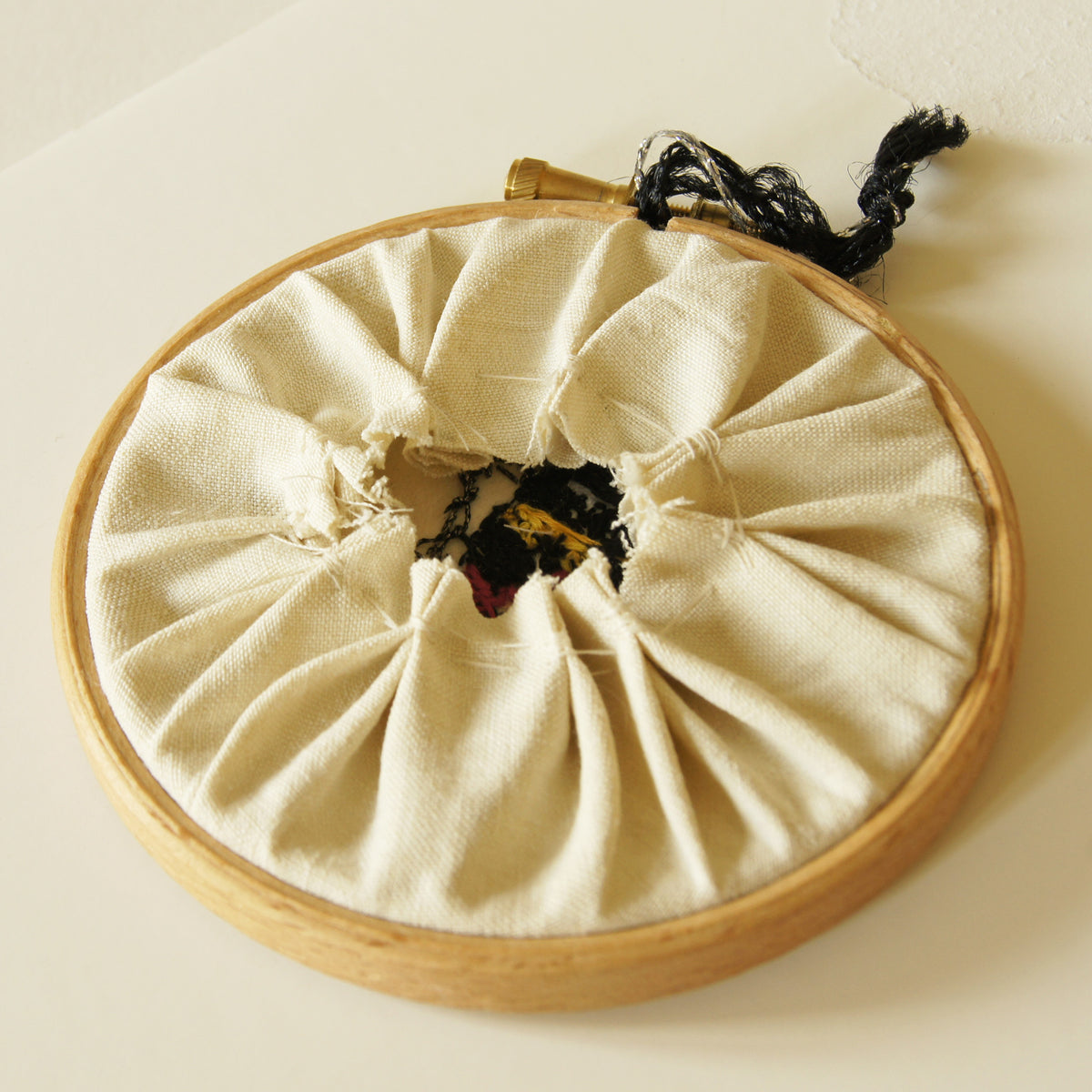 Pleasing Fungus Beetle Embroidered Hoop Art