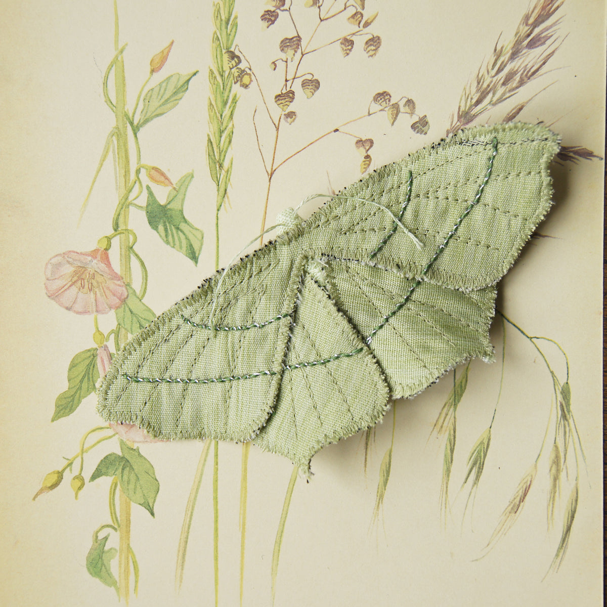 Geometer moth pdf pattern and tutorial